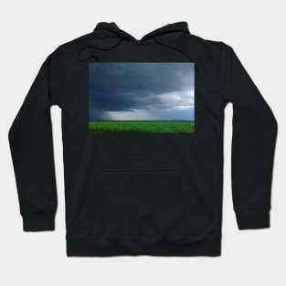 Storm Approaching in Sugar Cane Country Hoodie